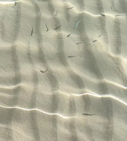 Apartamento Rosa Chia