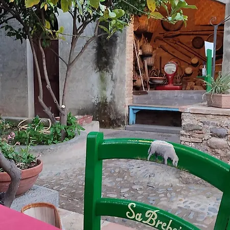 דירה Rosa קיה