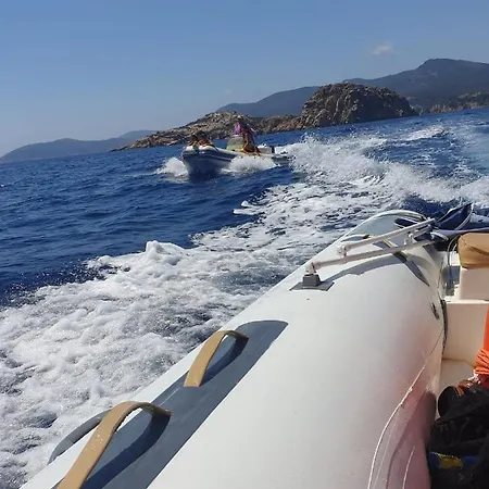 דירה Rosa קיה