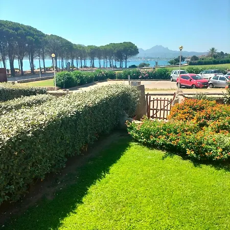 Rosa Cannigione